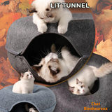 Lit Tunnel PurrPlay Tunnel™ Pour Chat