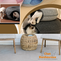 https://chatbienheureux.com/lit-purrplay-tunnel-pour-chat