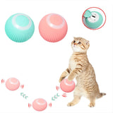 https://chatbienheureux.com/felinefun360-balle-rotative-interactive-rechargeable-pour-chat