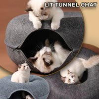 https://chatbienheureux.com/lit-purrplay-tunnel-pour-chat